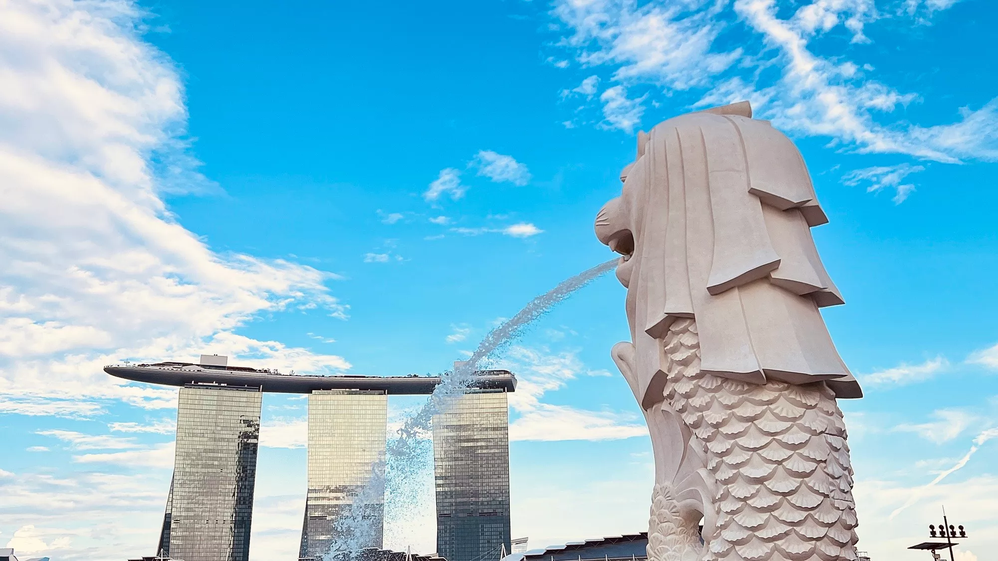 Tianjiao Company's Singapore-Malaysia Trip: Etching Joyful Memories in A Multicultural Tapestry