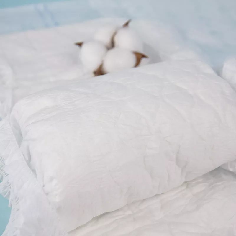 Whole Day Ultra Soft Disposable Adult Diaper for Adult Incontinence Care 